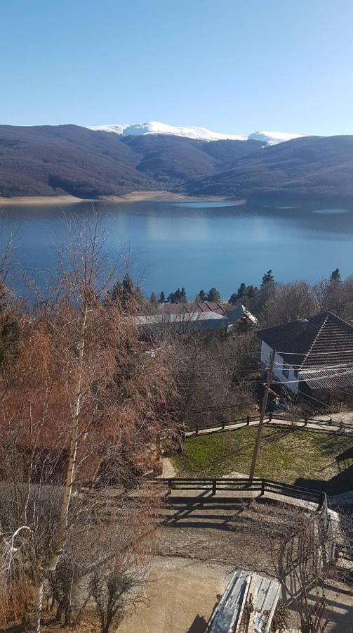 Tetka Viki Apartment Mavrovo Exterior photo